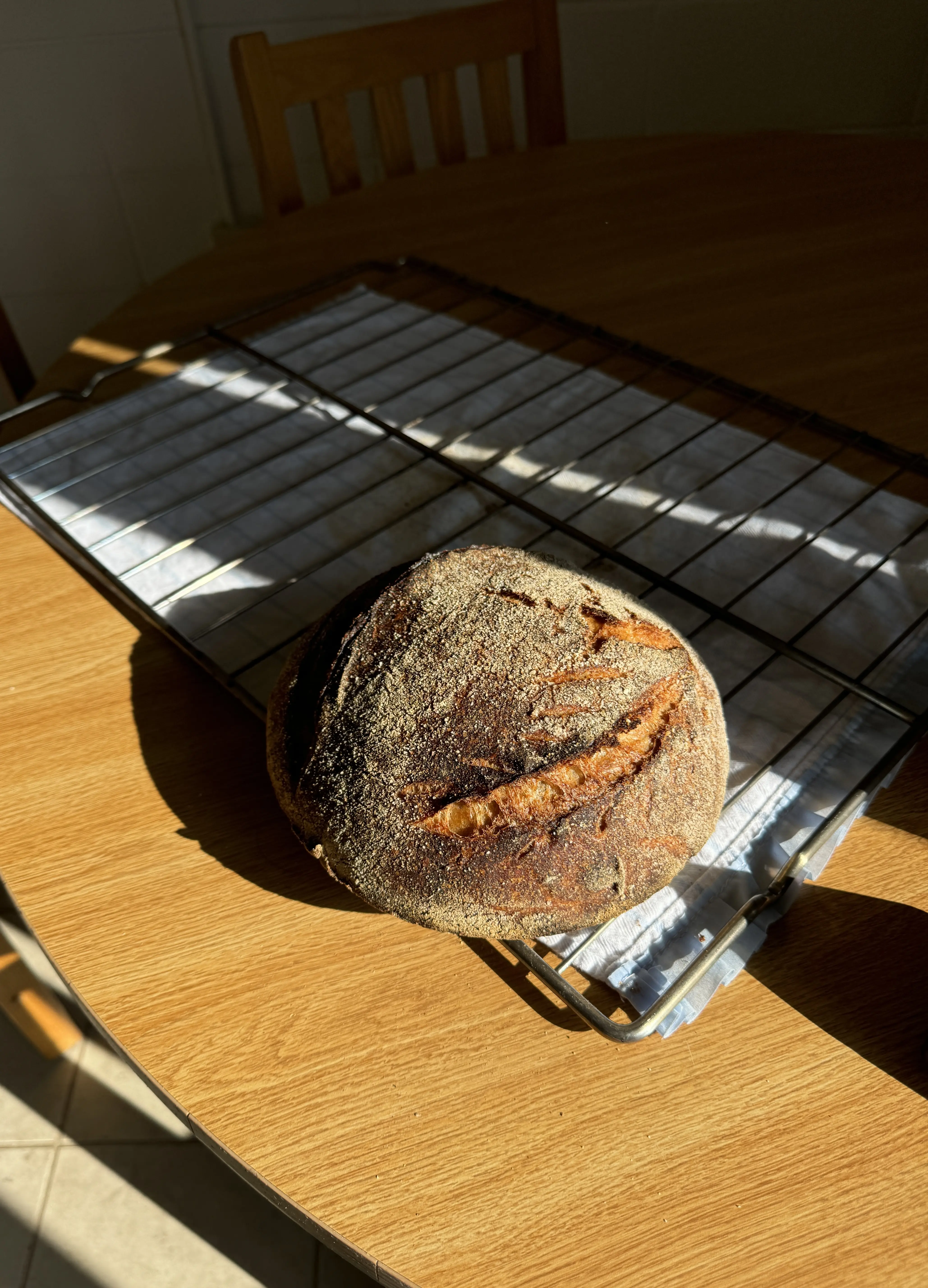sourdough baking