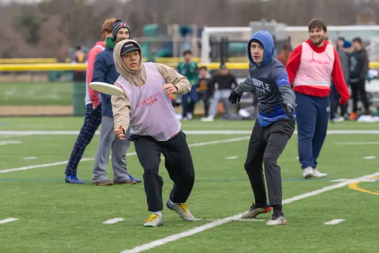 frisbee
